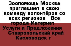 Зоопомощь.Москва приглашает в свою команду волонтёров со всех регионов - Все города Интернет » Услуги и Предложения   . Ставропольский край,Кисловодск г.